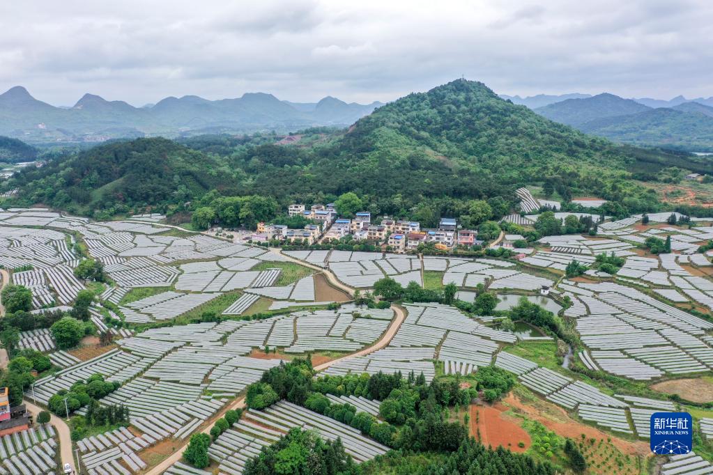 這是廣西桂林市全州縣才灣鎮(zhèn)毛竹山村（4月25日攝，無人機照片）。新華社記者 曹祎銘 攝